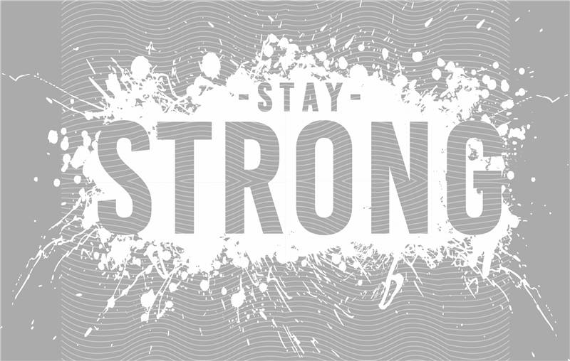 latest edition-KNY 355